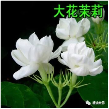 itb8888通博(中国区)官方网站