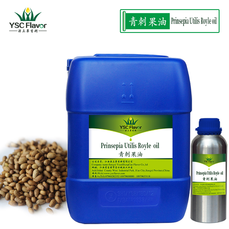 厂家直销 冷榨青刺果油 青刺果油 自然植物油 